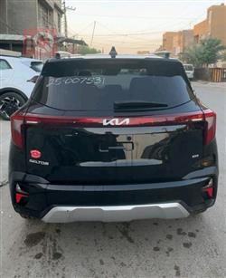 کیا سێلتۆس